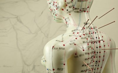 Real Success Stories Linked to Acupuncture Fertility Treatment Stratford, CT