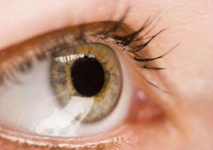 Improve Your Sight and Comfort by Visiting an Ophthalmologist in Murrieta, CA